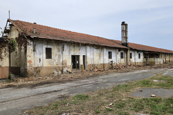 ra-spazi-recovery-art-9-giugno-4